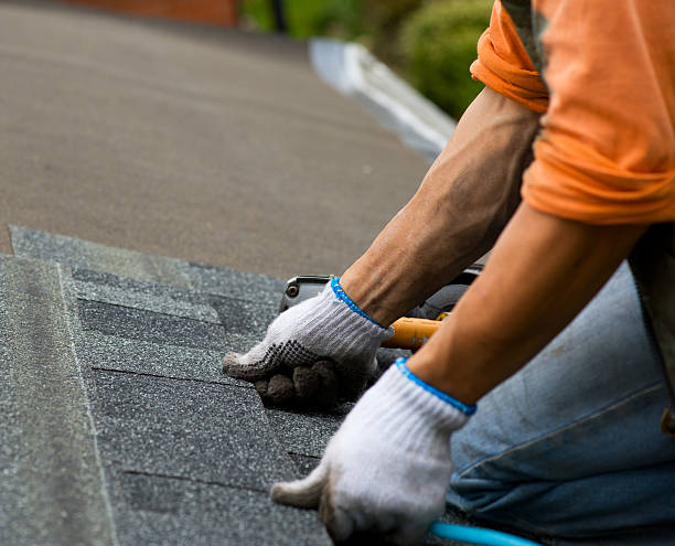 Best Metal Roofing Contractor  in Lake Katrine, NY